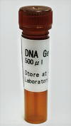 DNA GelStain