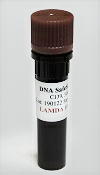 DNA SafeStain Plus